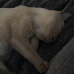 Meet your Posher, Nicholas